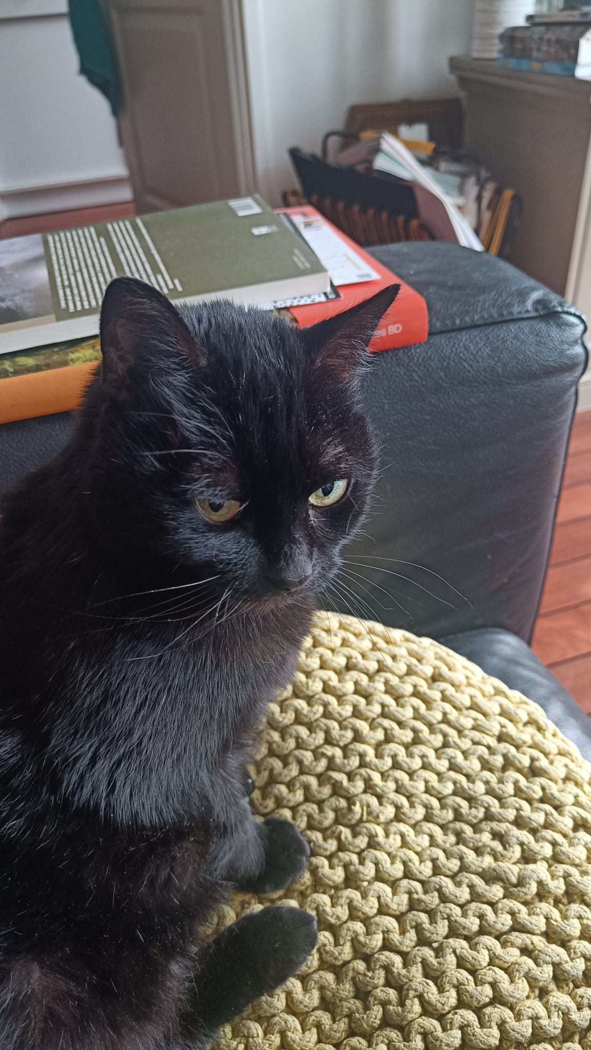 MONA