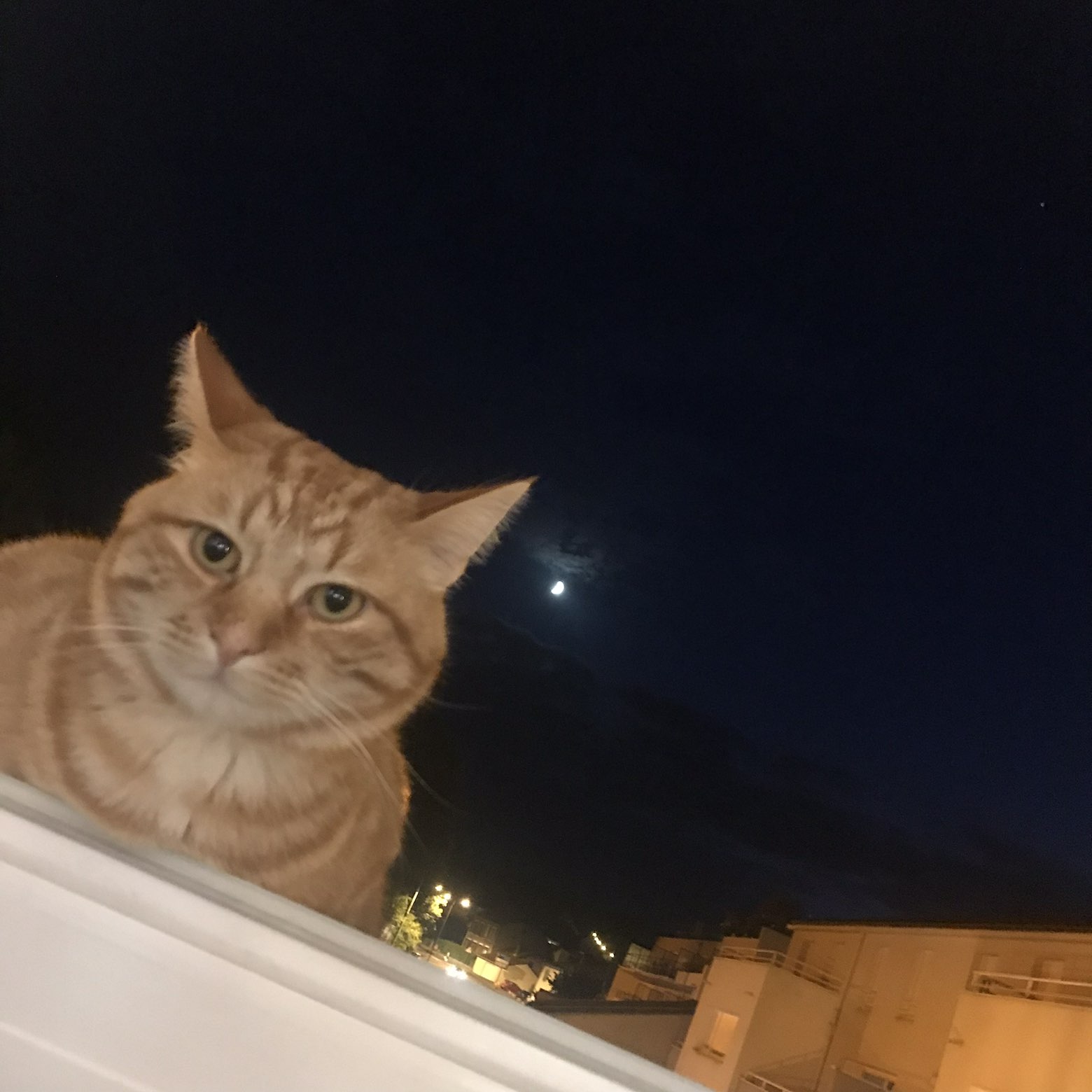 COOCKIE
