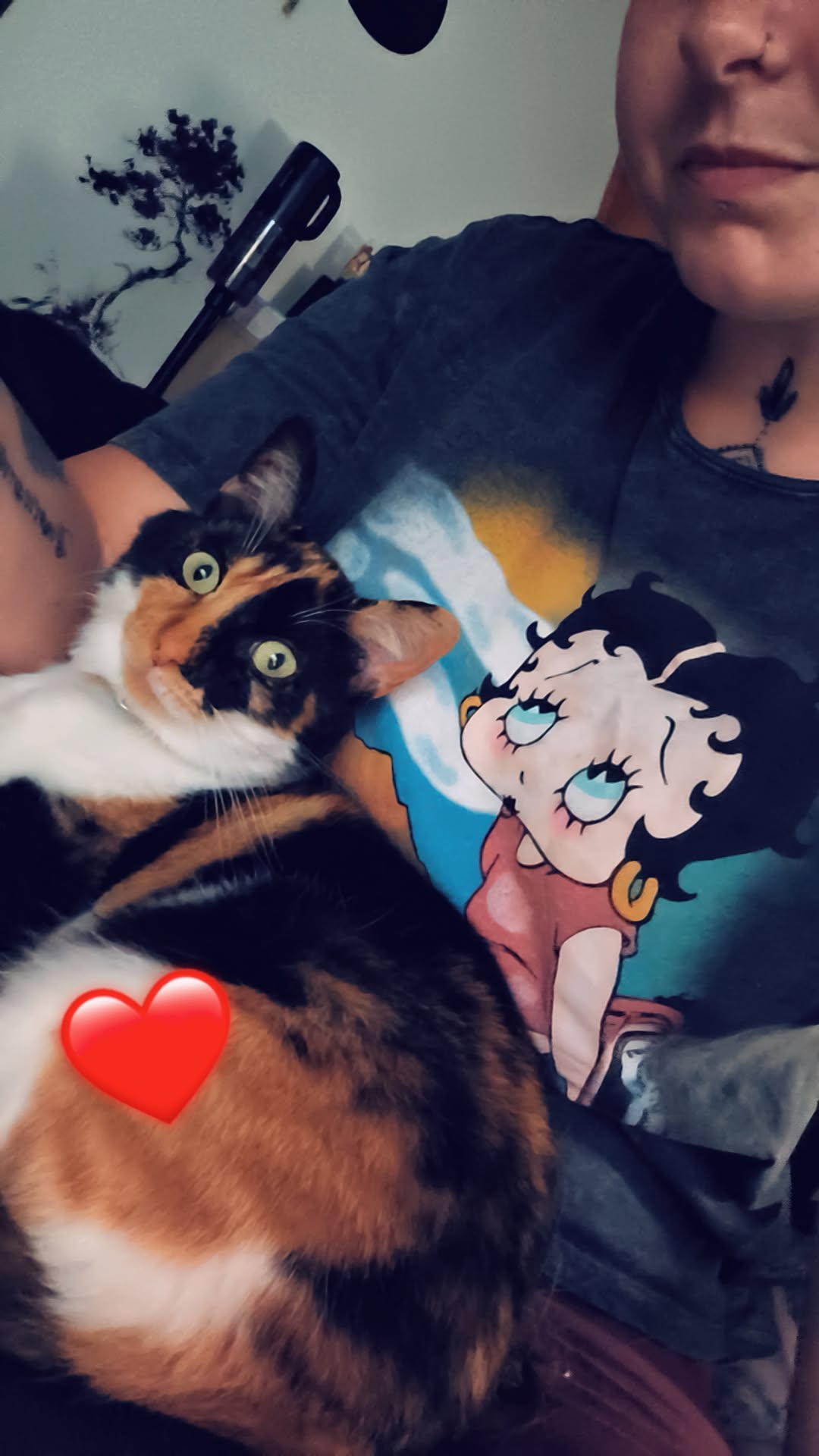 BELLA