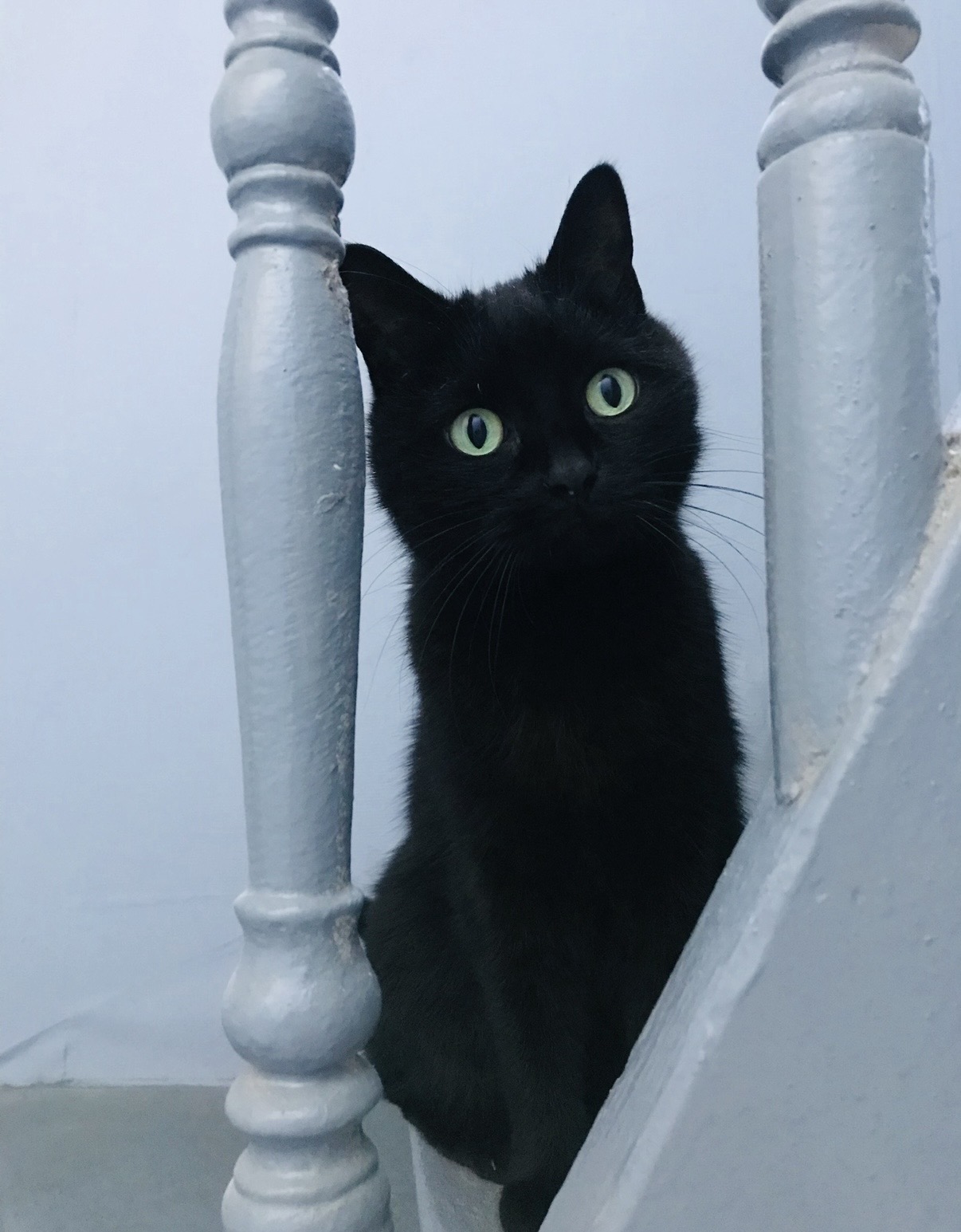 LUNA