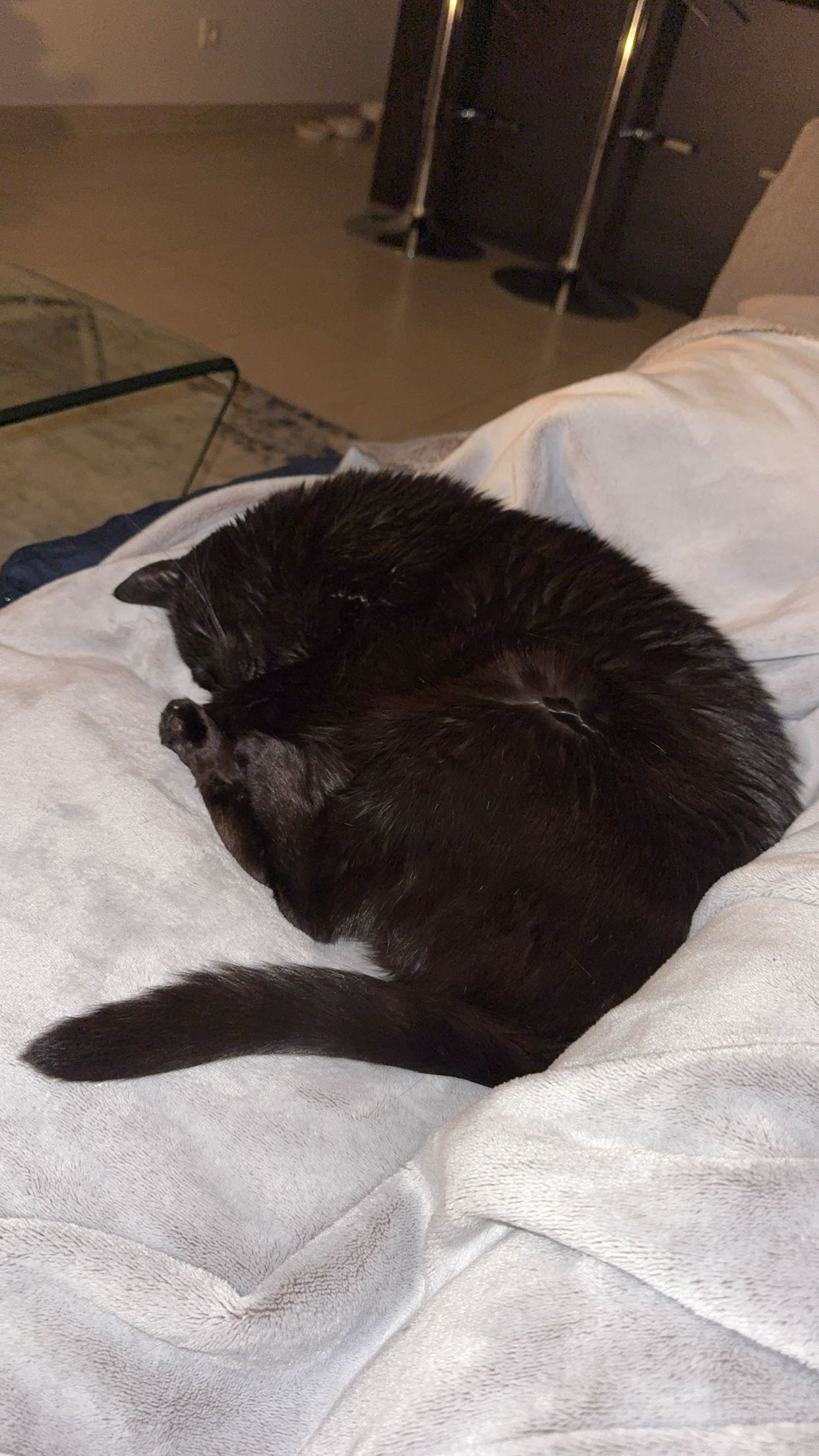 CACHOU